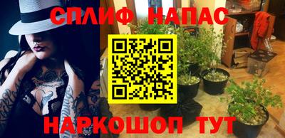 spice Кимры