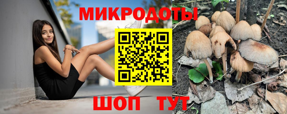 Галлюциногенные грибы Cubensis  Вход с VPN  Елец 